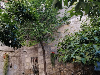 Kaktüshan Otel