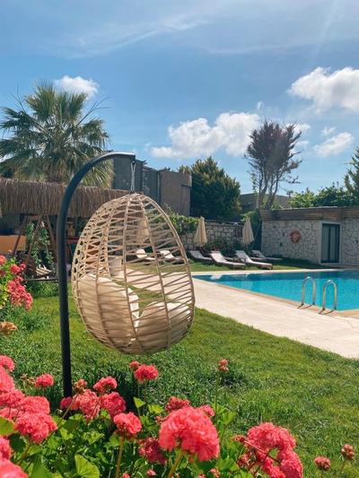 Limon Hotel