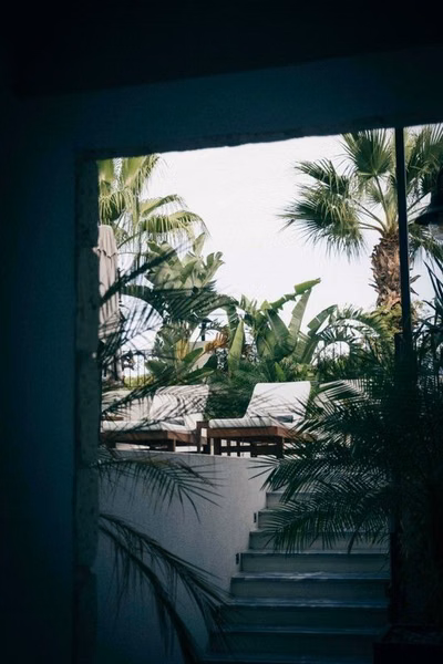 Primus Otel