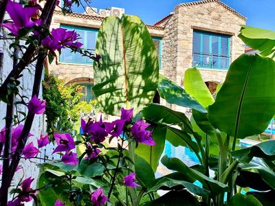Windmill Alaçatı