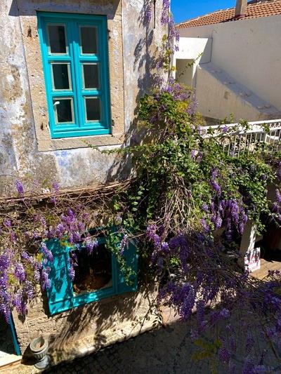 Windmill Alacati Koyici