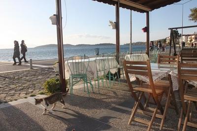 Foça Kumsal Hotel