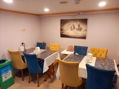 Otel Safran Palas