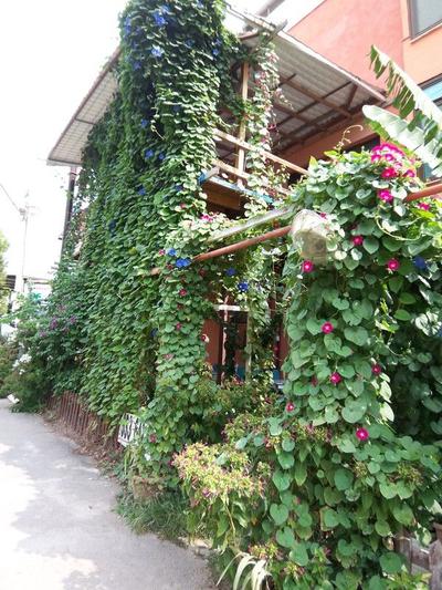 İzmir Tatil Evi
