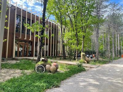 Longosphere Glamping