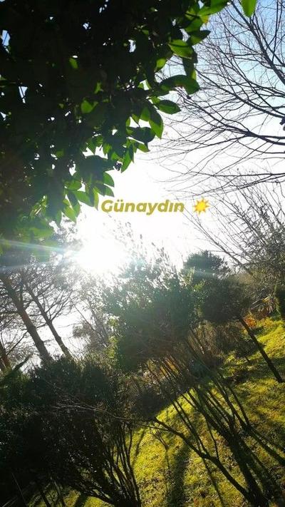 Yener Bungalov
