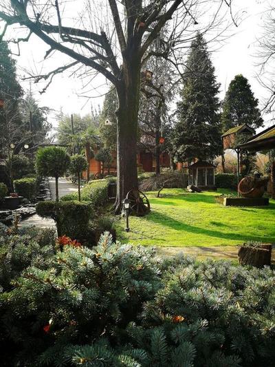 Yener Bungalov