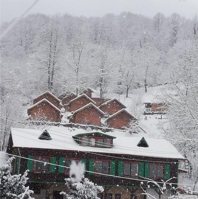 Yeşil Düş Vadisi Bungalov