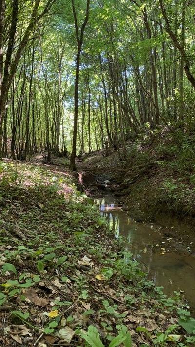Narkoy Ecologic Hotel & Organic Farm