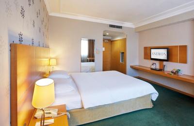 Anemon Grand Manisa Otel