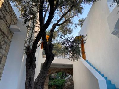 Omar Hotel & Suites
