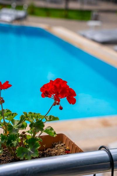 Grand Emir Hotel & Spa