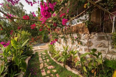 Begonvilla Bungalows