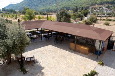 Olive Tree Apart Hotel