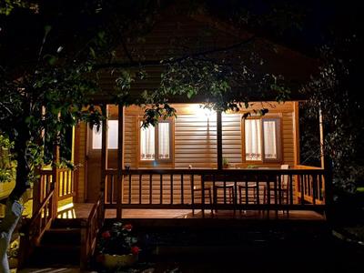 Olive Bungalov