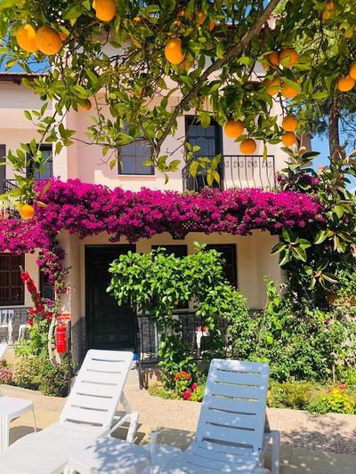 Arda Villa