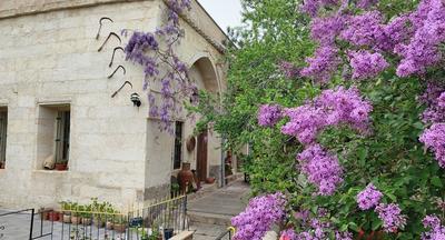 Armesos Cave Hotel