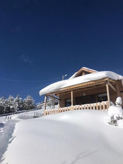 Ny Cambasi Bungalov Otel