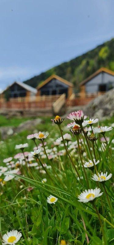 Ayder Yayla Bungalov