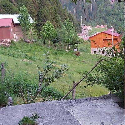Livik Dağ Evi