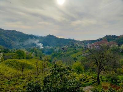 Patik Pansiyon