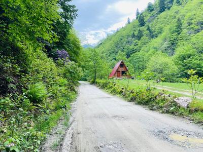 Senoz Dağ Evi & Bungalow