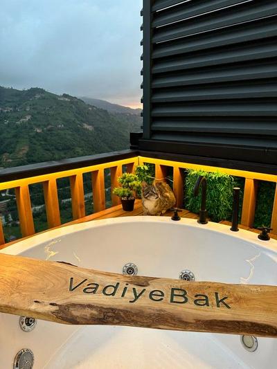 Vadiyebak Bungalov