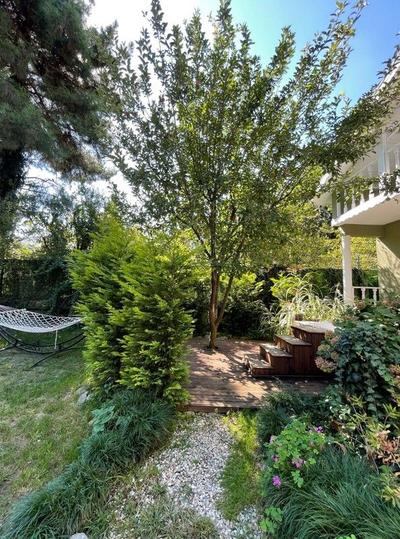 Sapanca Green Villa