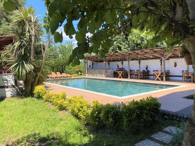 Rif Sapanca (Adult +12)