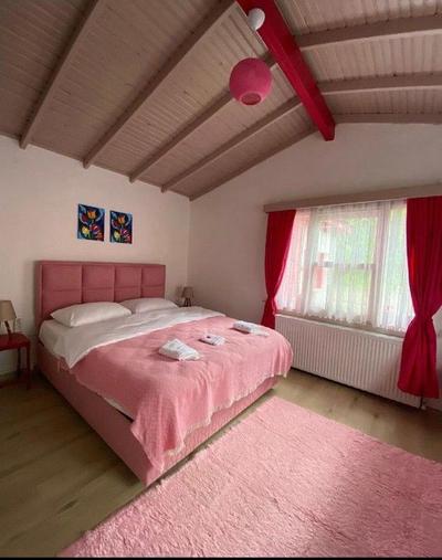 Sapanca Pink House