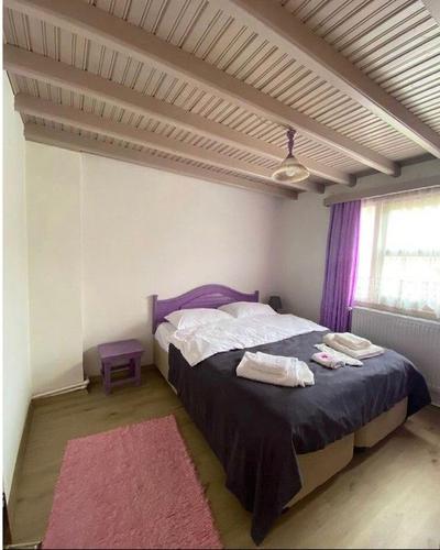 Sapanca Pink House