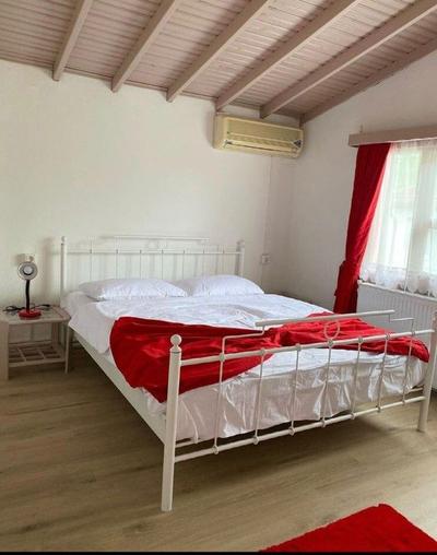 Sapanca Pink House