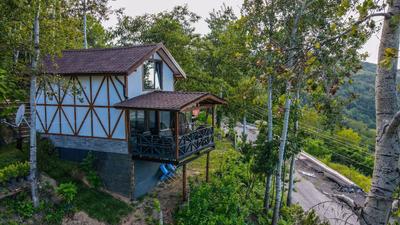 Sapanca Tepedeki Bungalov