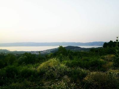Sapanca Mohti Villa