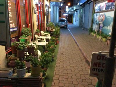 Hotel Necmi