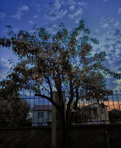 Deveci Konağı