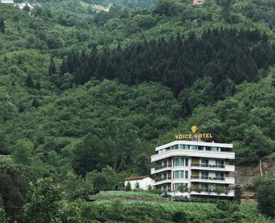 Voice Otel