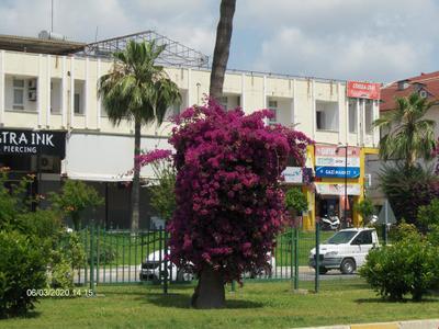 Odessa Otel