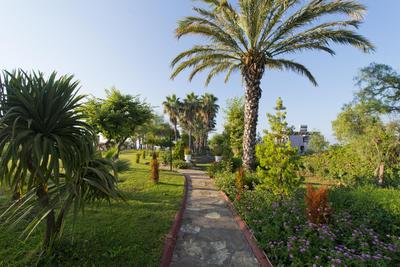 Q Aventura Park