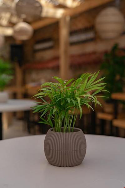 Boho Apart Hotel