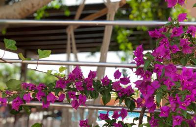Villa Cancan | Belek