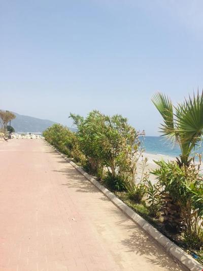 Rota Bungalov