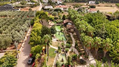 Antalya Orfe