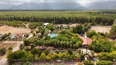 Antalya Orfe