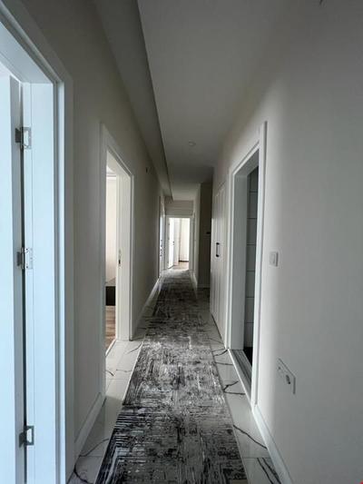 Consept Decor Daire