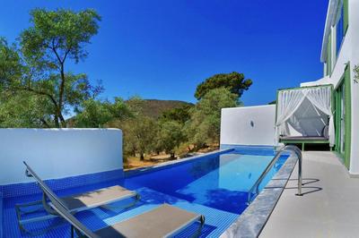 Villa Blueberry 7