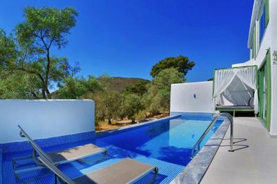 Villa Mulberry Collection Nettle