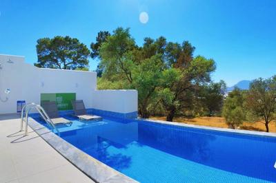 Villa Mulberry Collection Sorrel