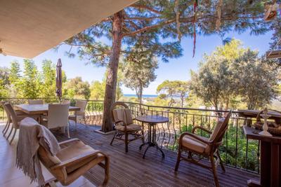 Carlotta 1 | Kaş