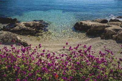 Blanca Beach Hotel